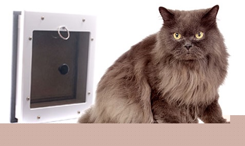 Energy Efficient Pet Door